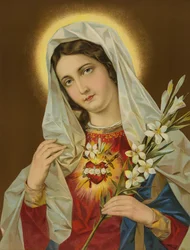 Heiliges Herz der Jungfrau Maria